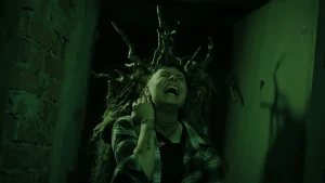 Heart of the Forest - Image 06 (February 12, 2026)