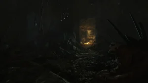 Amnesia : Rebirth - Image 06 (April 30, 2026)