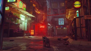 Stray - Image 01 (April 24, 2026)